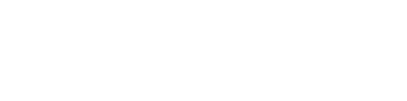 HealthOne Digital Logo